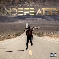 Ace Hood - Trust the Process II: Undefeated