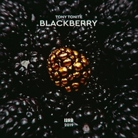 Tony Tonite - Blackberry